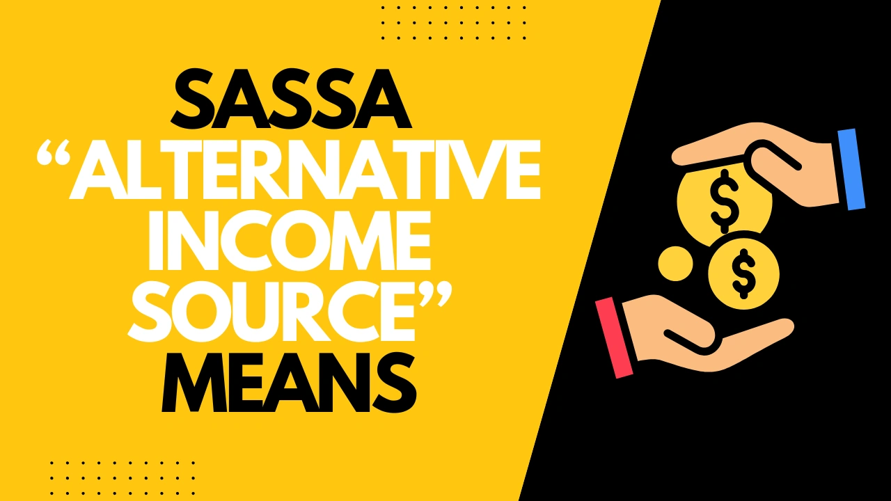 Why Your SASSA SRD Status Shows "Alternative Income Source Identified"