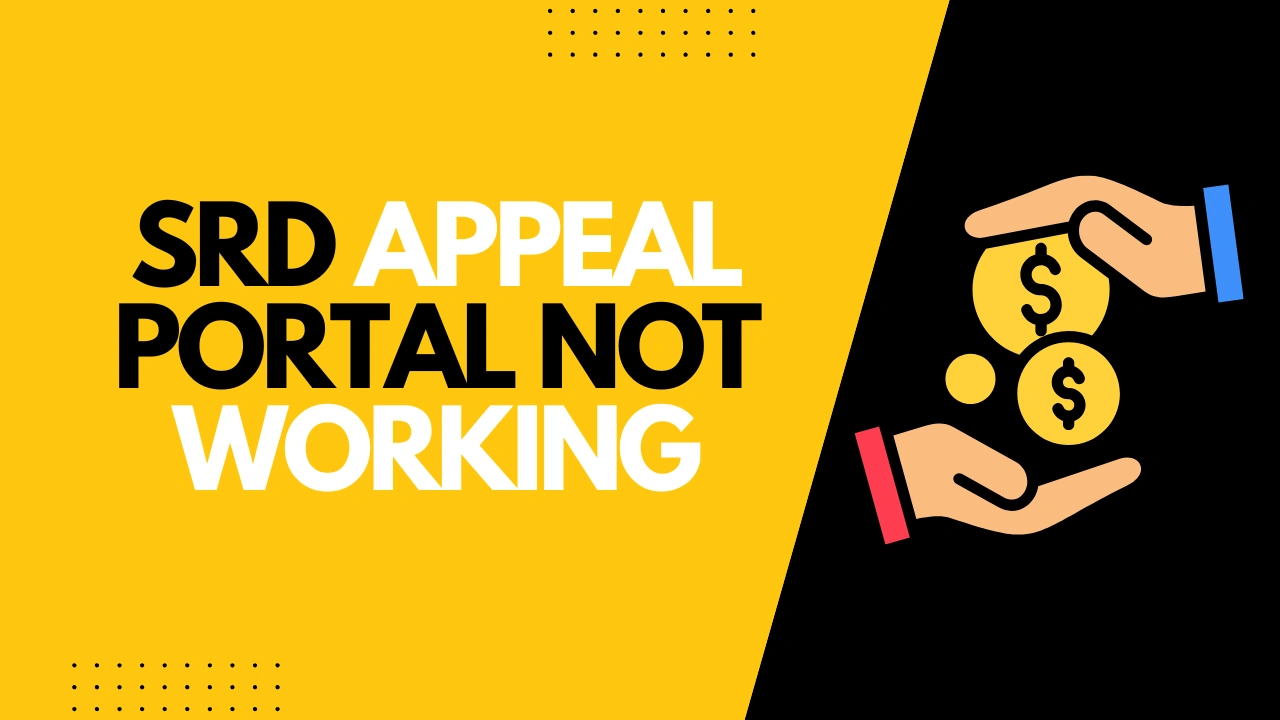 What to Do If the Appeal Portal Is Not Working?